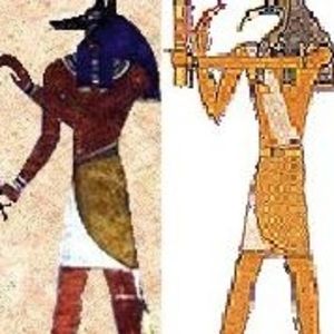 Meet your Posher, Arlene